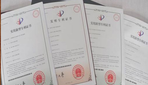专利权利恢复请求