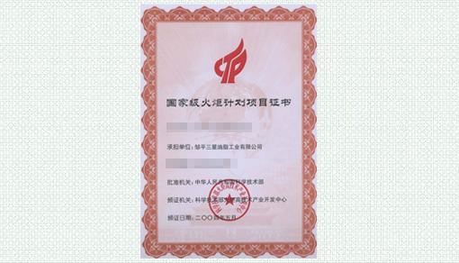 国家火炬计划