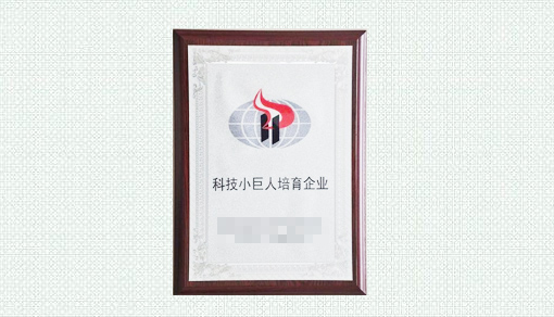 合肥市高新区科技小巨人